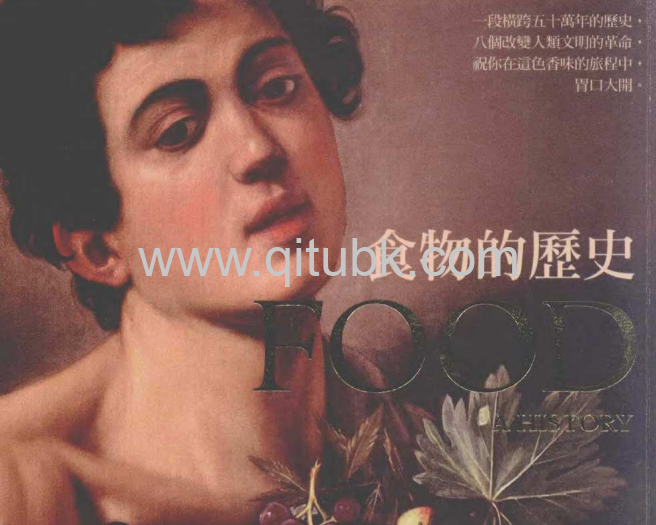 食物的歷史.pdf电子书下载（菲立普．費南德茲-阿梅斯托 (Felipe Fernandez-Armesto) 著）：透視人類的飲食與文明