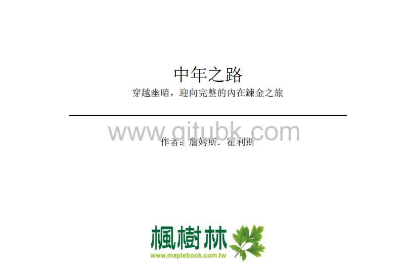 中年之路.pdf電子書下載（詹姆斯 · 霍利斯 (James Hollis) 著） : 穿越幽暗, 迎向完整的內在鍊金之旅